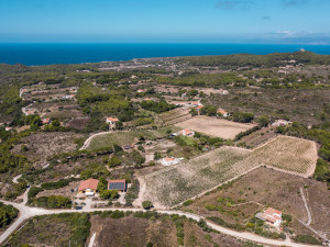 Panoramica della cantina e dei vigneti in Località Gioia, nel cuore dell'Isola di San Pietro.